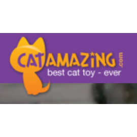 cat-amazing