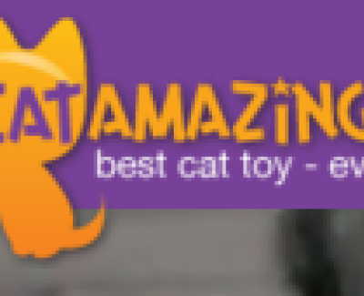 cat-amazing