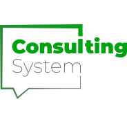 Consulting system