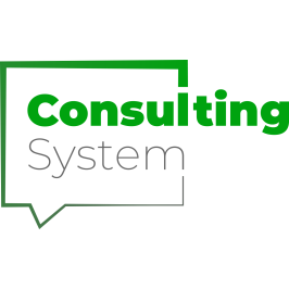 Consulting system
