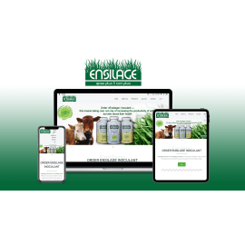 Сайт-визитка для ENSILAGE на WordPress