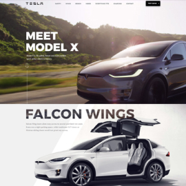 tesla presentation