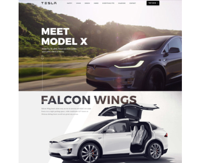 tesla presentation