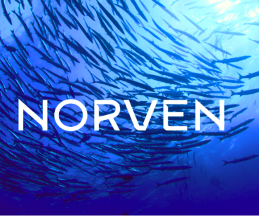 NORVEN. SMM с норвежским вайбом. Обновление SMM-стратегии.