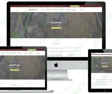 Landing page Snailprod