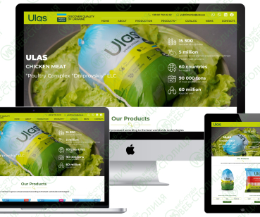Корпоративний сайт ULAS