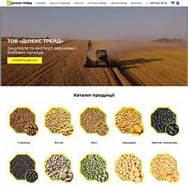 Landing page DILEX-TRADE