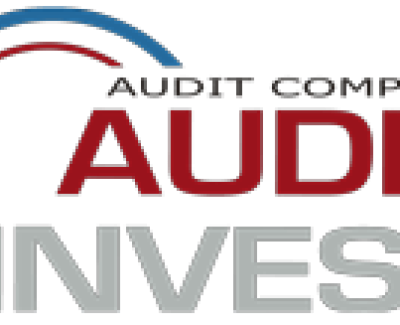 Корпоративный сайт AuditInvest