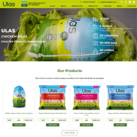 Корпоративний сайт ULAS