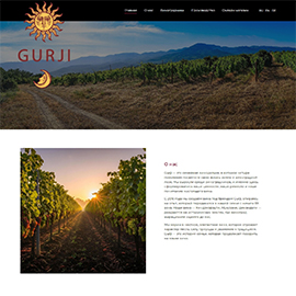 Корпоративний сайт GURJI