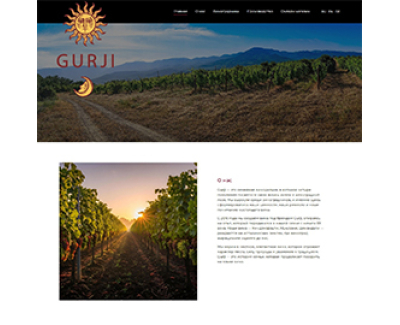 Корпоративний сайт GURJI