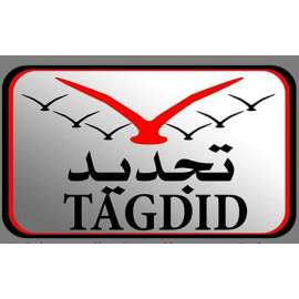 Сайт Tagdid