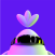 Qream