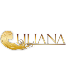 Разработка интернет магазина uliana.dp.ua