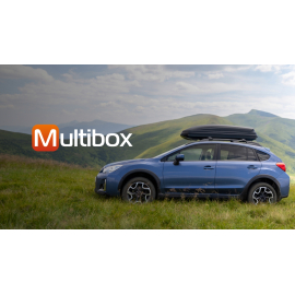 Інтернет-магазин для компанії Multibox