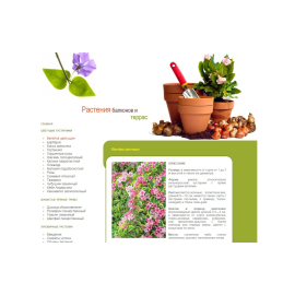rastbalkon.ru