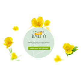 netkashlya.com