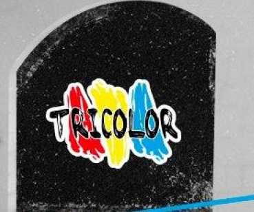 Как мы увеличили объем бесплатного трафика на 463% — кейс Tricolor