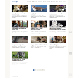 КотИнфо