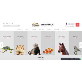 zebrushok.ru