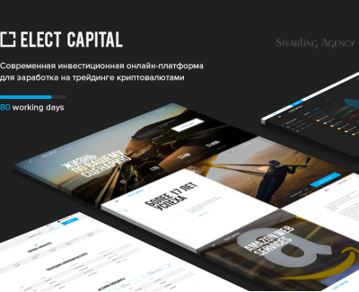 Онлайн-платформа Elect Capital 