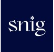 snig.digital