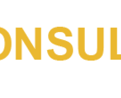 Сайт компании MGU-consulting