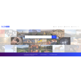Falcon Video