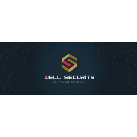 Компания «Well Security» 