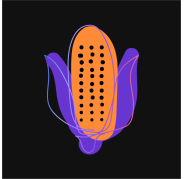 Kukurudza Agency