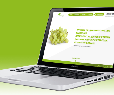 Разработка корпоративного сайта для компании InTrendAGRO