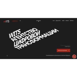 Wits