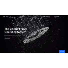 Black Swan Technologies