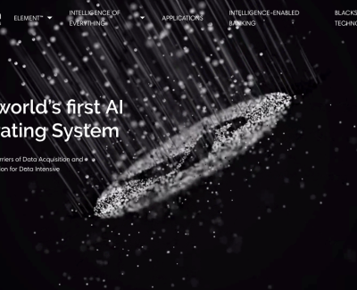 Black Swan Technologies