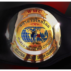 http://emfmuaythai.eu/