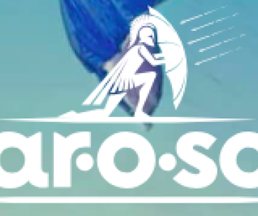 CAR-O-SOL ™ - создание сайта