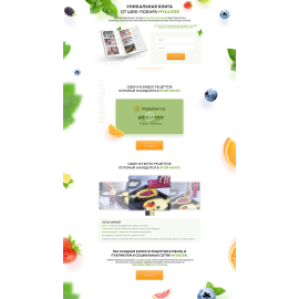 Landing компании компании Myjuicer