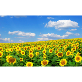 Veles Agro