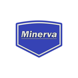 Minerva