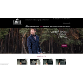 Сайт компании Тамир
