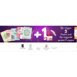 plan4profi