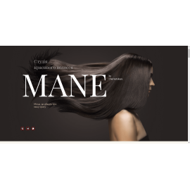Mane Style