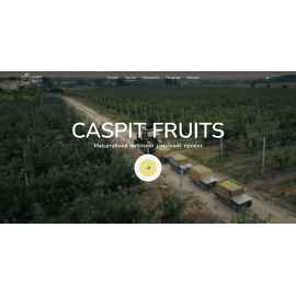 CaspitFruits