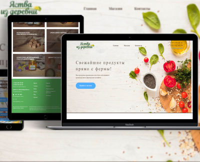 Разработка интернет-магазина для yastva-iz-derevni.ru