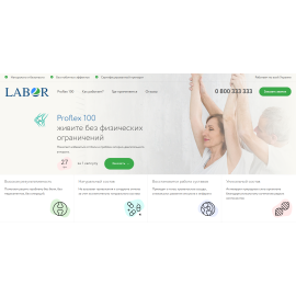Разработка лендинга для Proflex 100