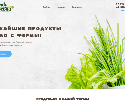 Корпоративный сайт для bastay.ru