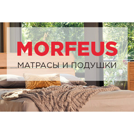 Morfeus