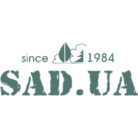 SAD.UA