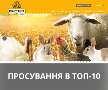Кейс по SEO-продвижению корпоративного сайта компании Konstanta