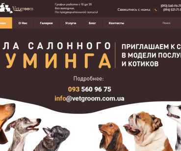 SEO продвижение сайта VetGroom